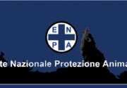 enpa