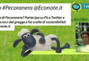 coverpecoranera