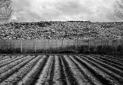foto barone paesaggio 2