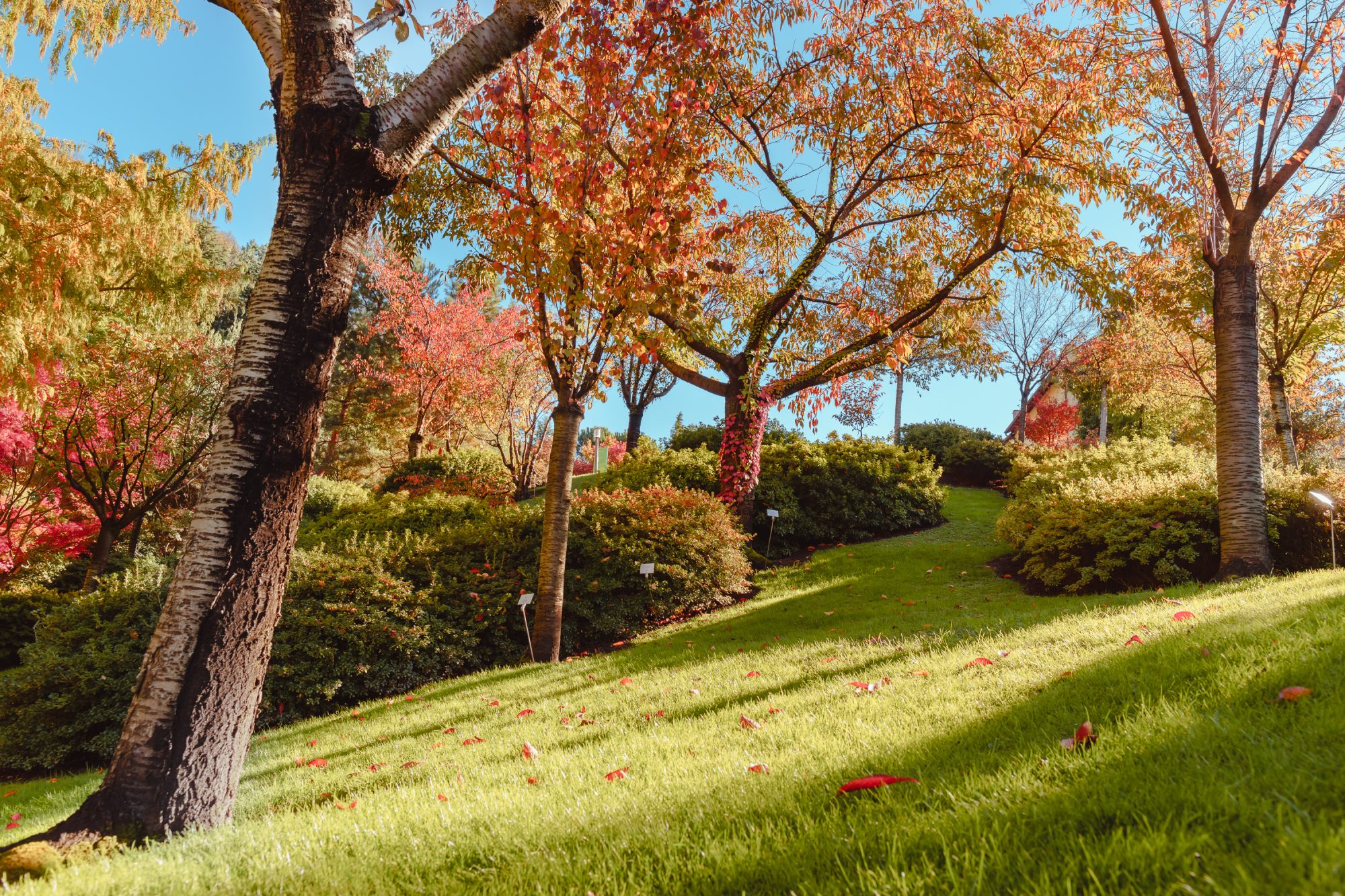 (©Philip Unterholzner).