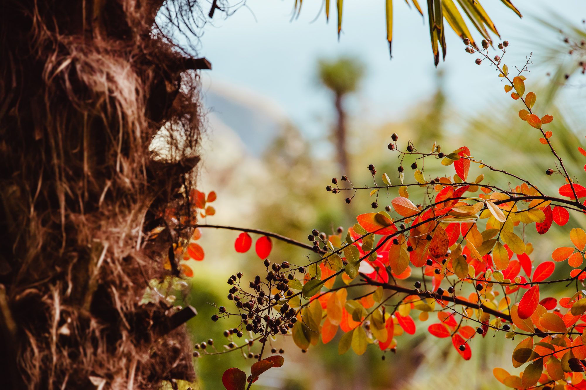 (©Philip Unterholzner).