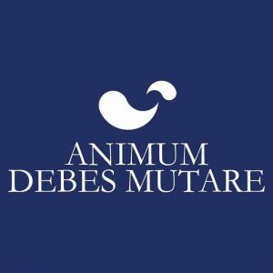 26996457_1661738967198203_12883805_n