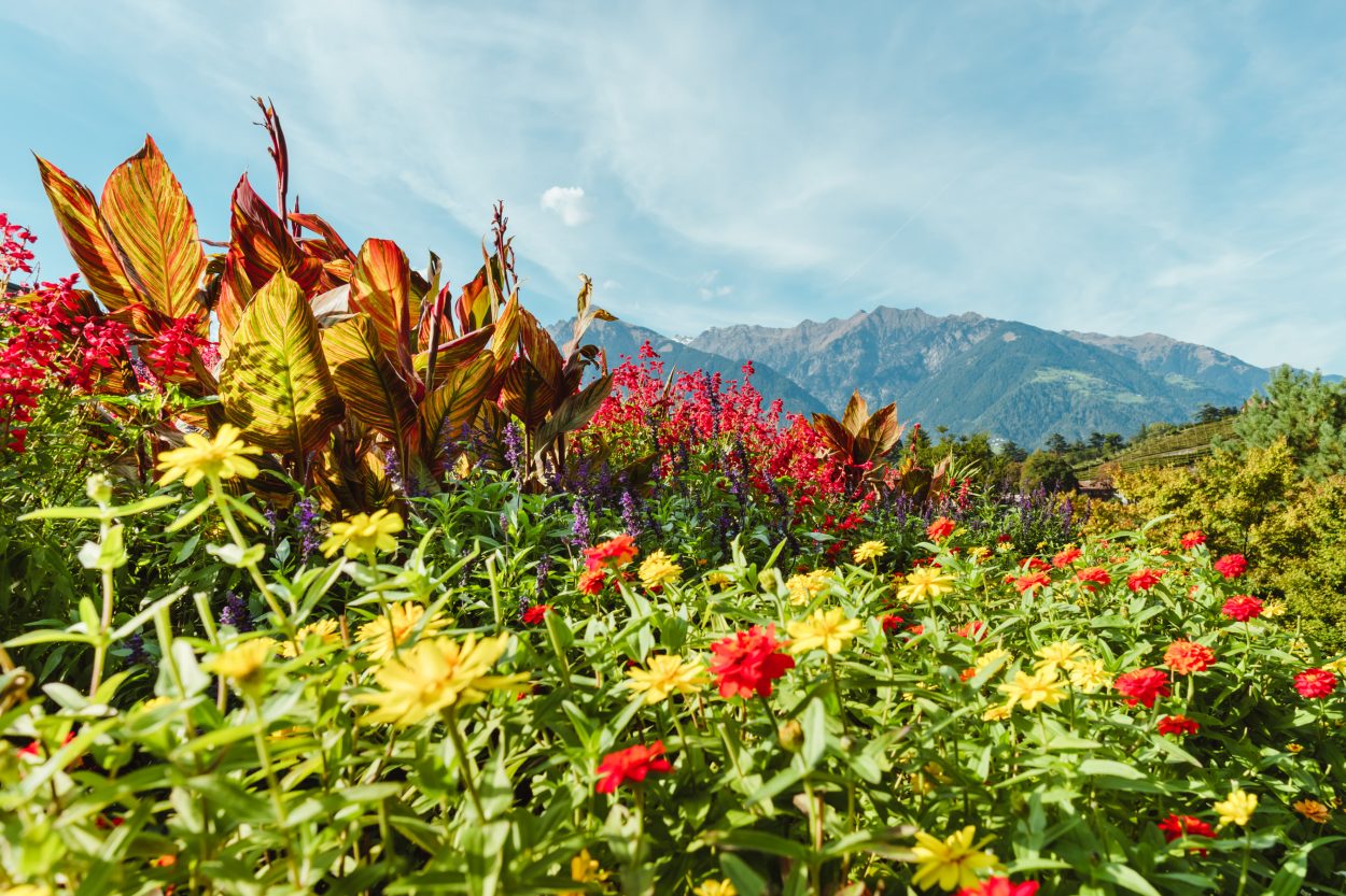 (©Philip Unterholzner).